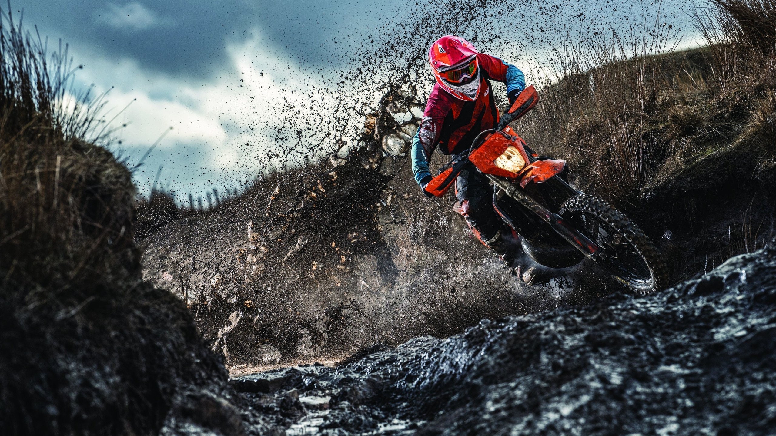 开云在线直播-铁血锁链,霍勒迪的终极防守与公牛的全面压制